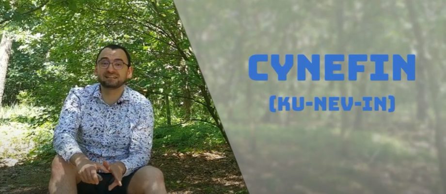Cynefin - Rzeczywistość nas ukaże!